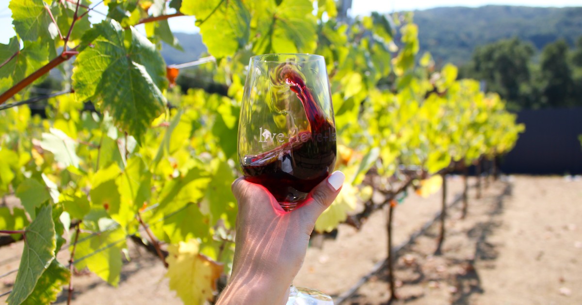 Tasting red wine among grapevines at a vineyard in Morgan Hill CA highlighting farm and winemaking connection