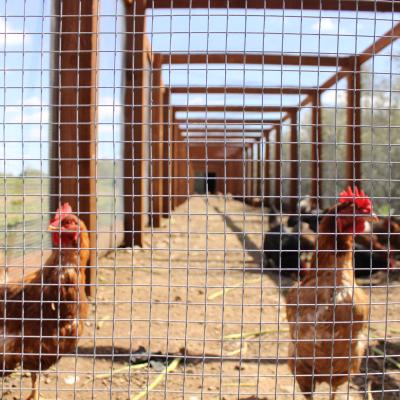 MOHI Ranch