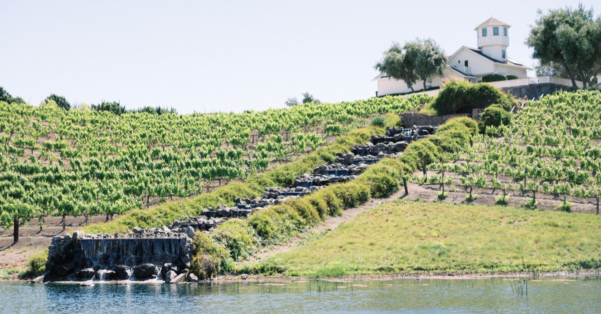 Scenic vineyard landscape with pond and hills at an event venue in California