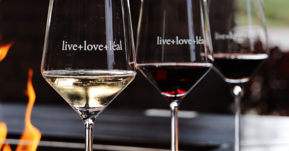 Red and white wines served by the fire during wine tasting in Morgan Hill, California at MOHI Ranch