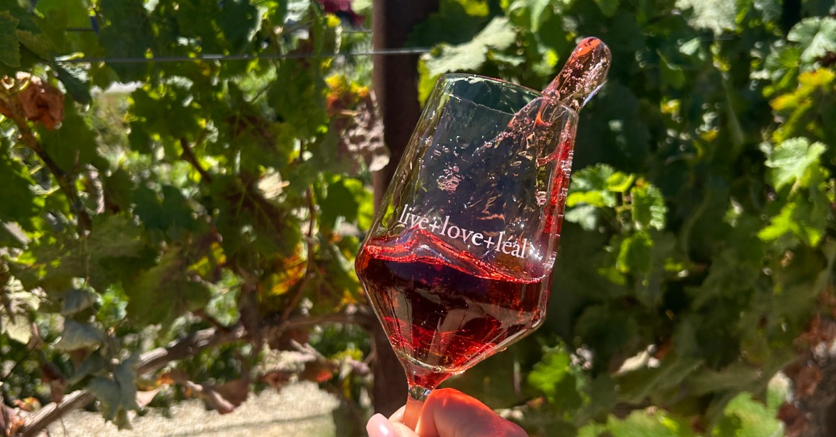 Guests enjoying rosé wine tasting at Mohi Ranch vineyard in Morgan Hill CA