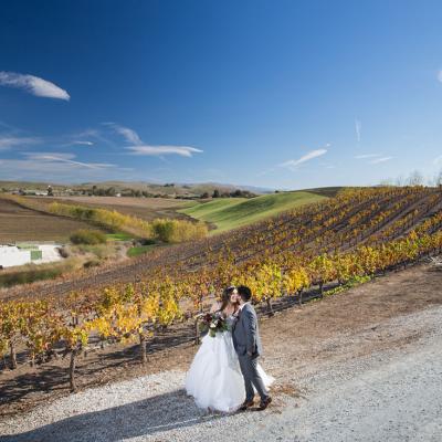 Léal Vineyards - Weddings