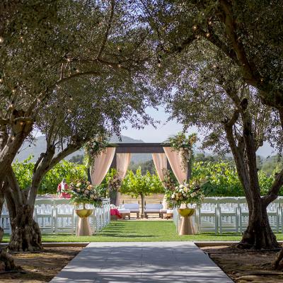 MOHI Wine Weddings