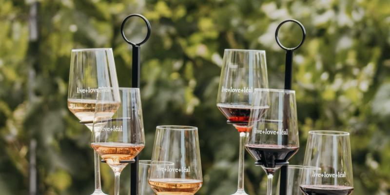 Wine tasting flight at MOHI Ranch in Morgan Hill, California featuring red and white wines overlooking vineyard rows